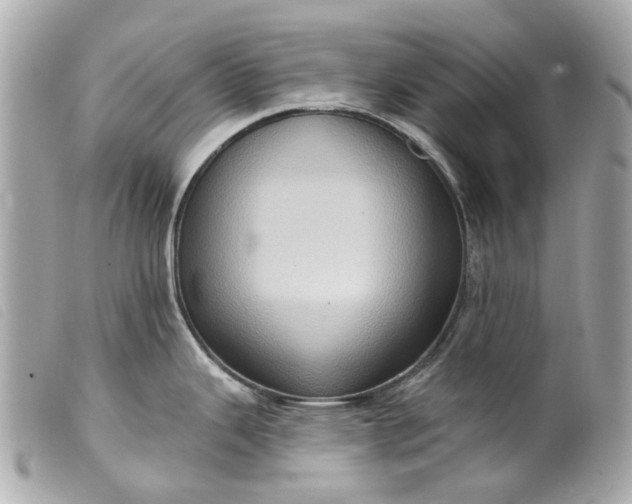 X0000099541343200805301453