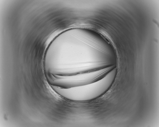 X0000099541344200805301453