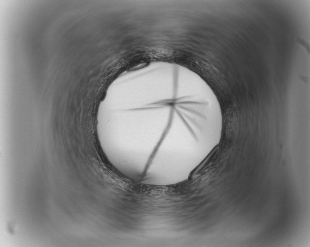 X0000099541345200805301452