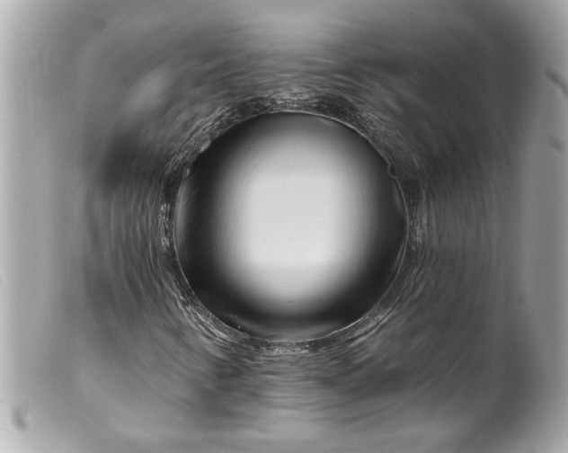 X0000099541346200805301452