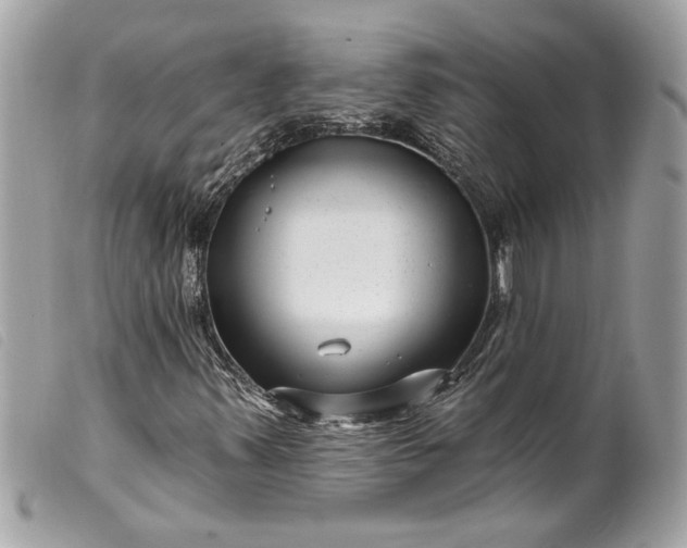 X0000099541347200805301452