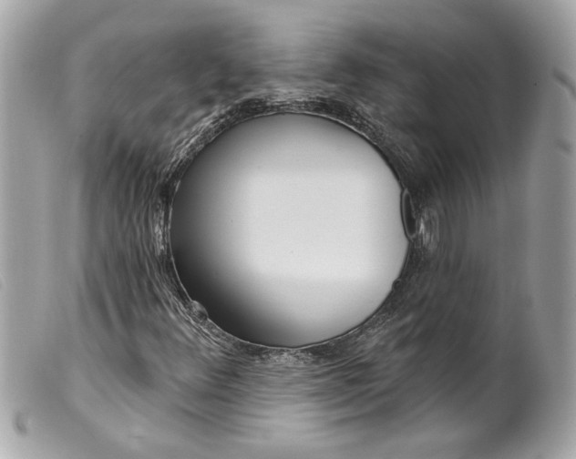 X0000099541348200805301452