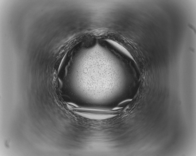 X0000099541349200805301452