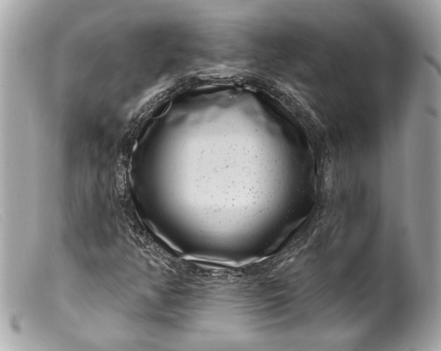 X0000099541350200805301452