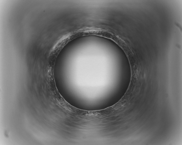 X0000099541351200805301452