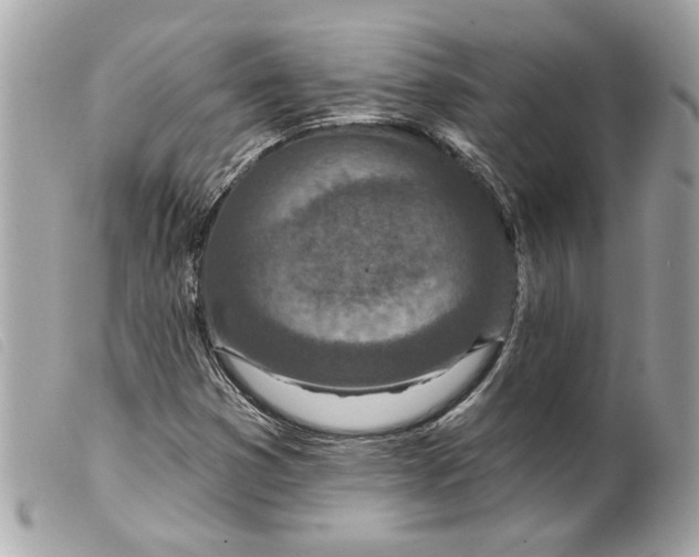 X0000099541353200805301452