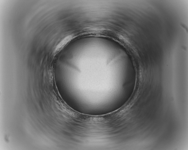 X0000099541354200805301452