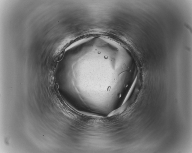 X0000099541355200805301452