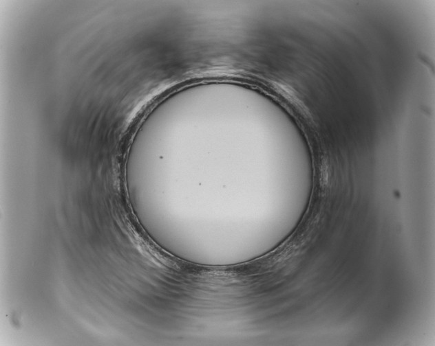 X0000099541356200805301452