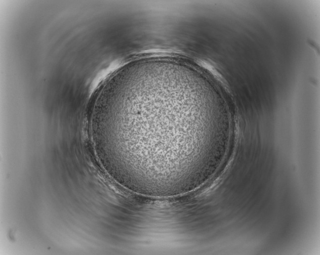 X0000099541357200805301452