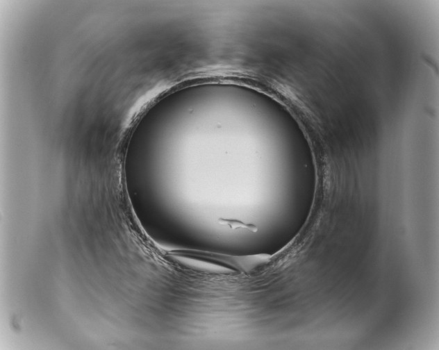 X0000099541358200805301452