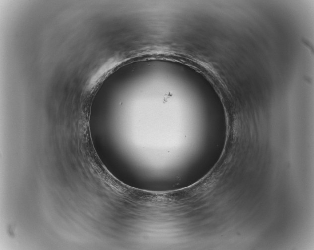 X0000099541359200805301452