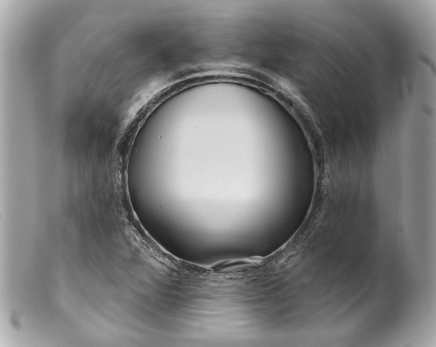 X0000099541360200805301452