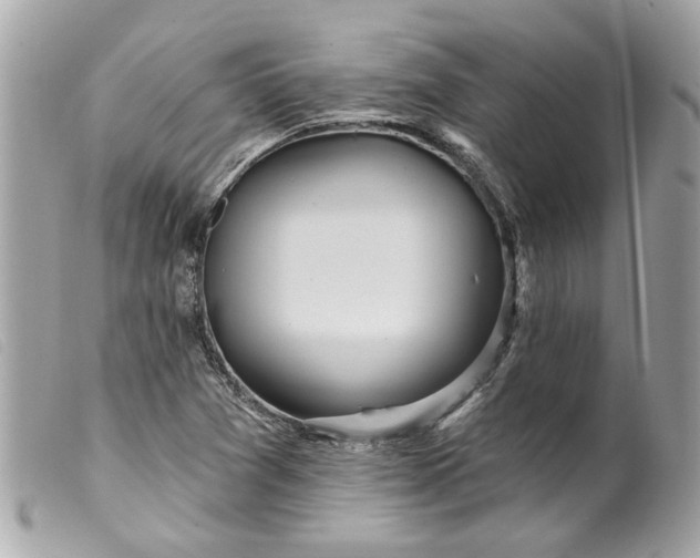 X0000099541361200805301452