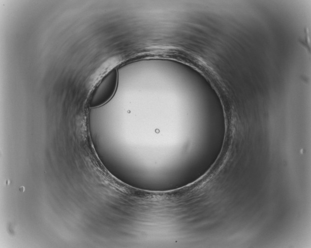 X0000099541362200805301452