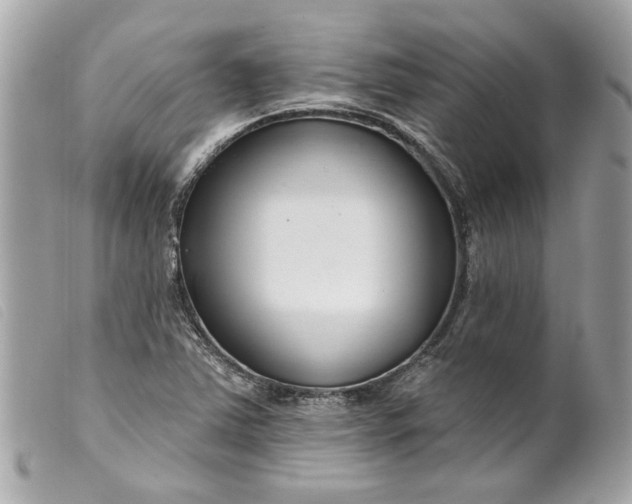 X0000099541363200805301452