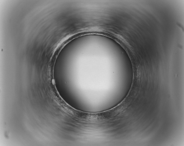 X0000099541364200805301452