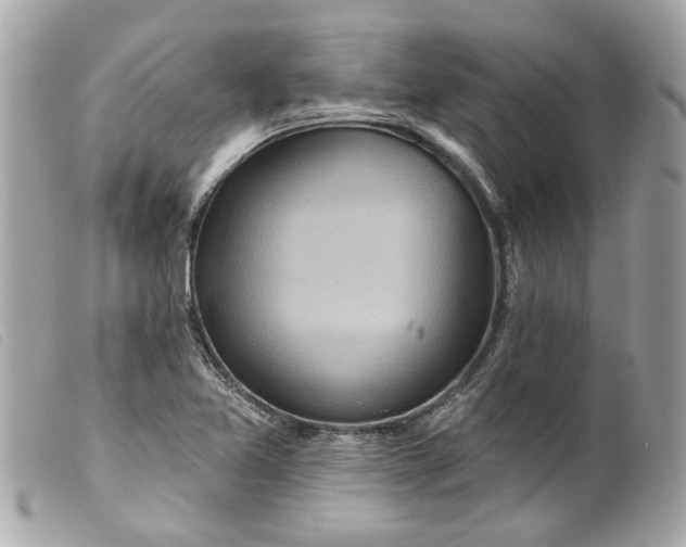 X0000099541365200805301452