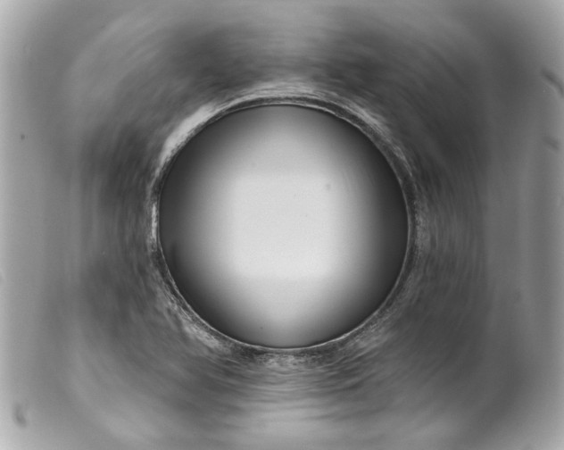 X0000099541366200805301452