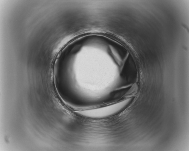 X0000099541367200805301452