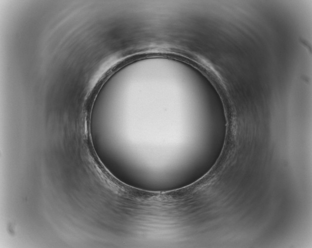 X0000099541368200805301452