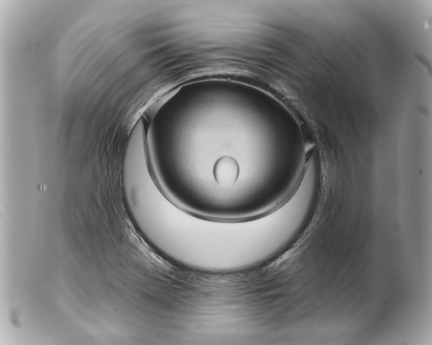 X0000099541369200805301452