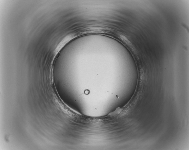 X0000099541370200805301452