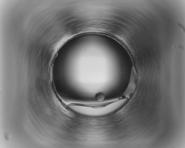 X0000099541371200805301452