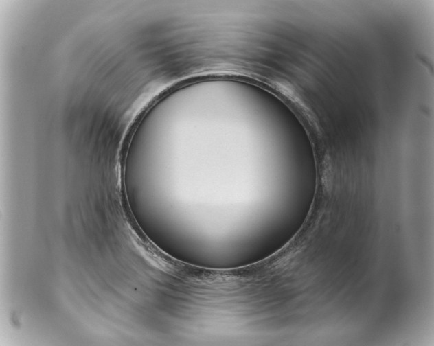 X0000099541372200805301452