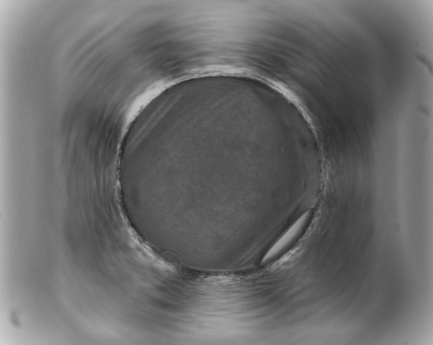 X0000099541373200805301452