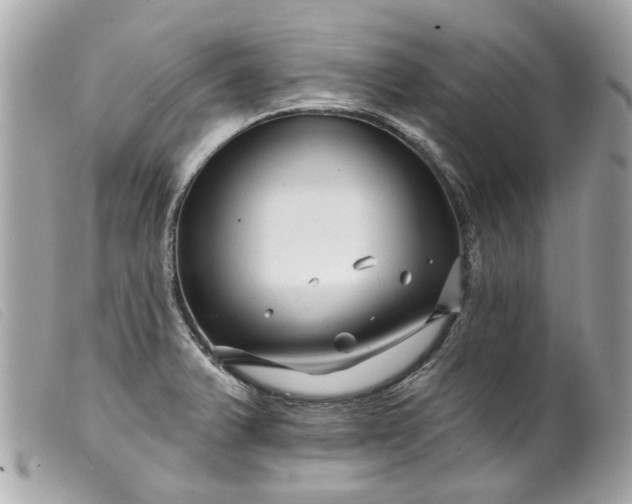 X0000099541375200805301452