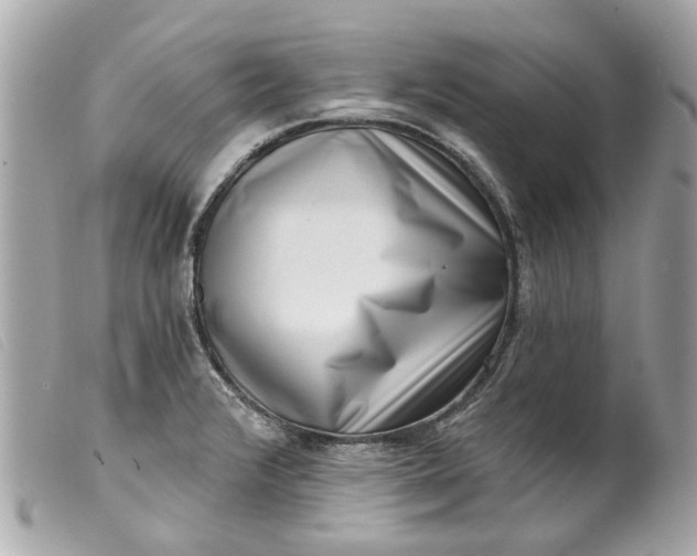 X0000099541376200805301451