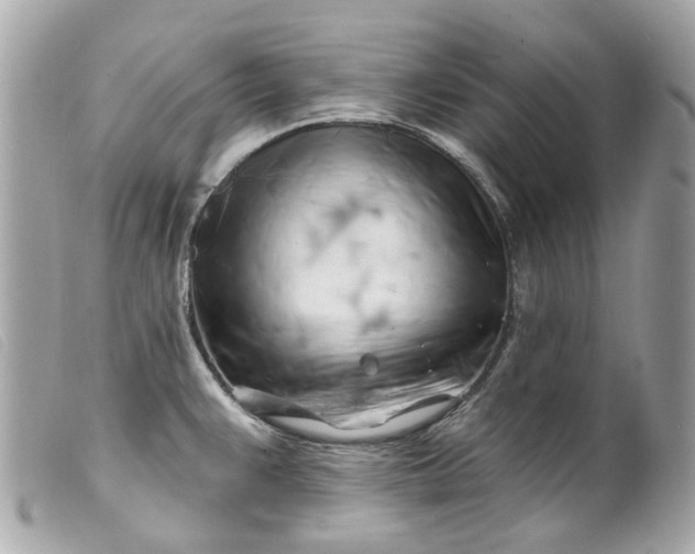 X0000099541383200805301451