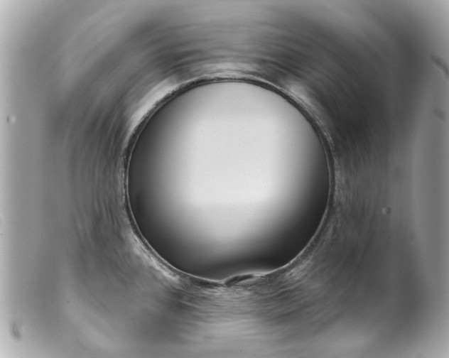 X0000099541384200805301451