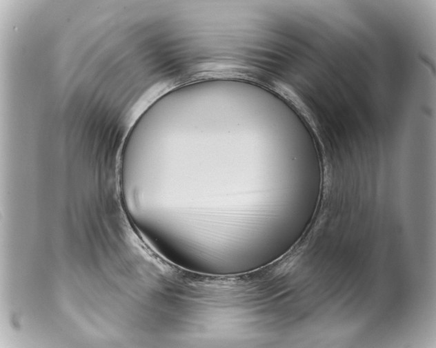 X0000099541386200805301451