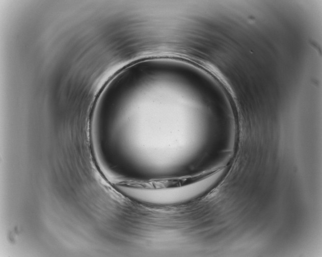 X0000099541388200805301451