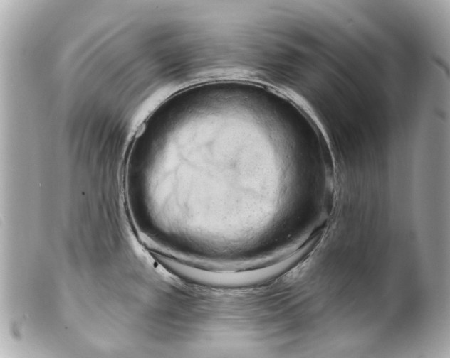 X0000099541389200805301451