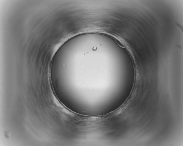 X0000099541390200805301451