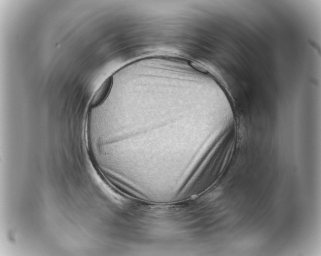 X0000099541391200805301451