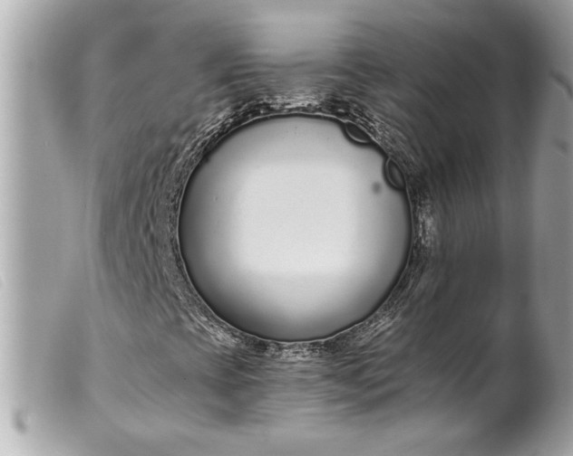 X0000099541393200805301451