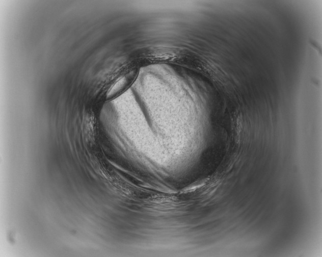 X0000099541394200805301451