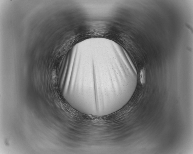 X0000099541395200805301451