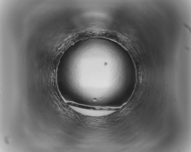 X0000099541397200805301451