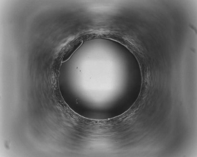 X0000099541398200805301451