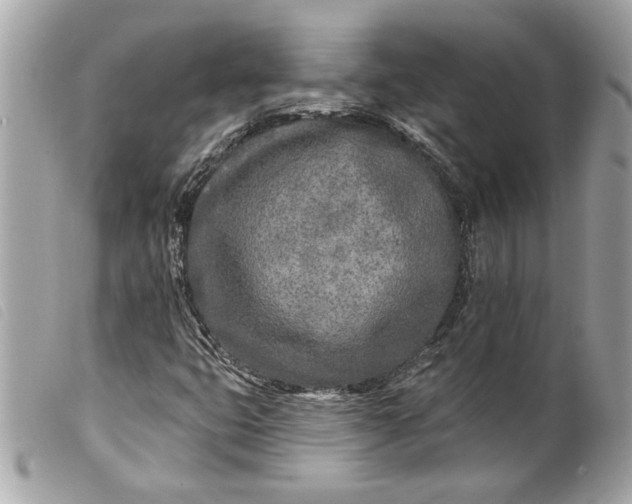 X0000099541399200805301451