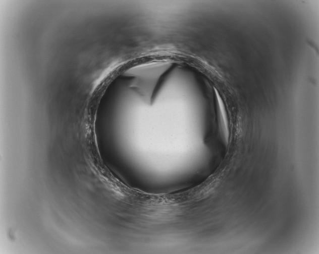 X0000099541400200805301451