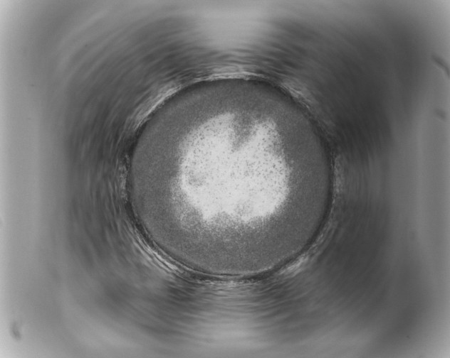 X0000099541401200805301451