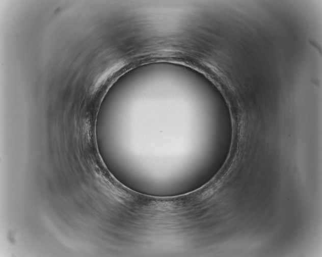 X0000099541402200805301451