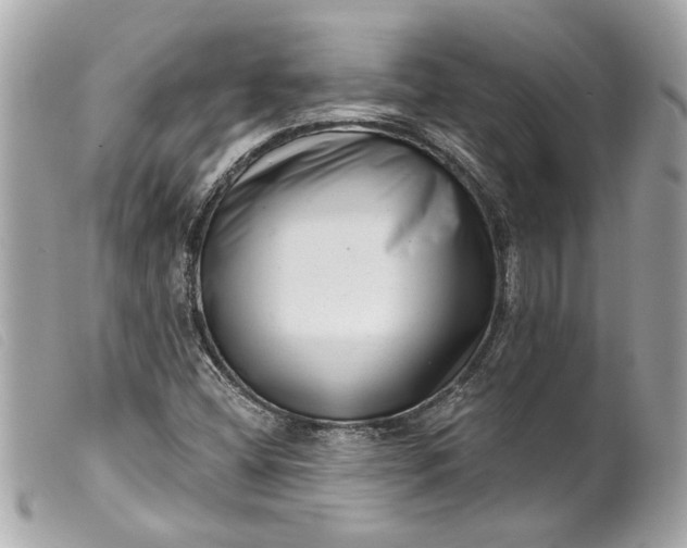 X0000099541404200805301451