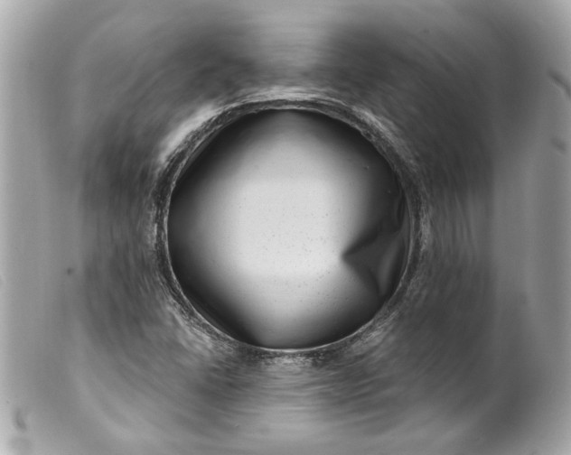 X0000099541406200805301451